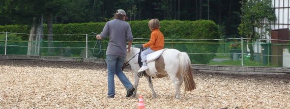 Reitunterricht für Kinder und Erwachsene