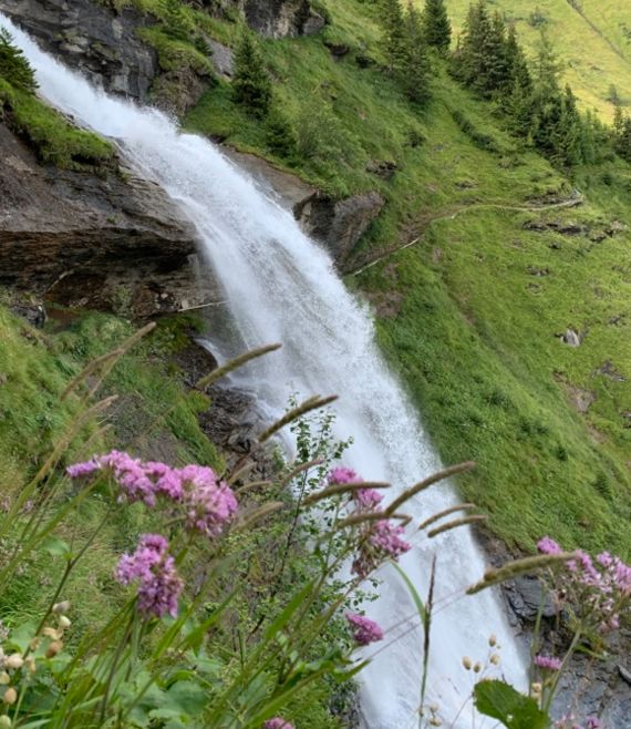 Ferleiten waterfall trail